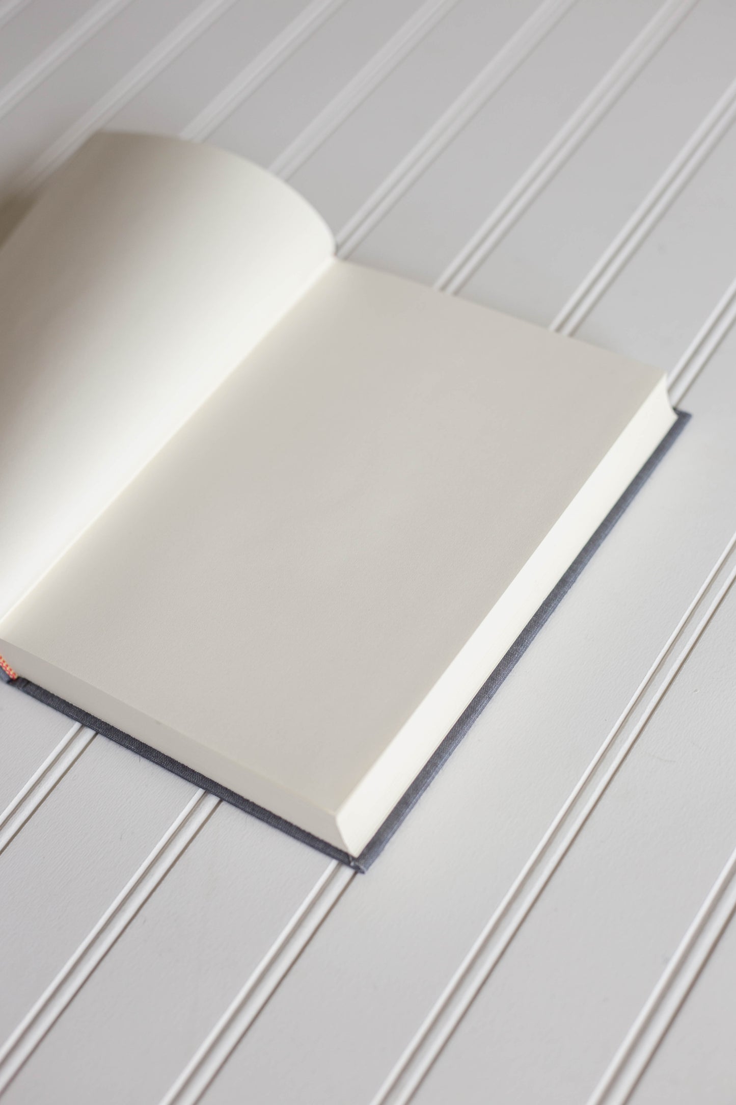 The Tale of Peter Rabbit Book Journal