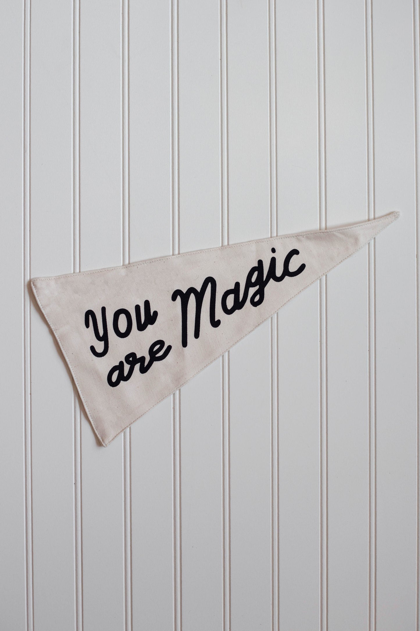 You Are Magic Canvas Pennant