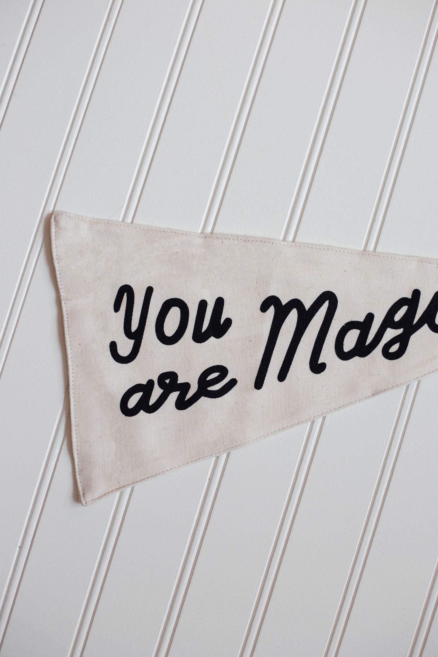 You Are Magic Canvas Pennant