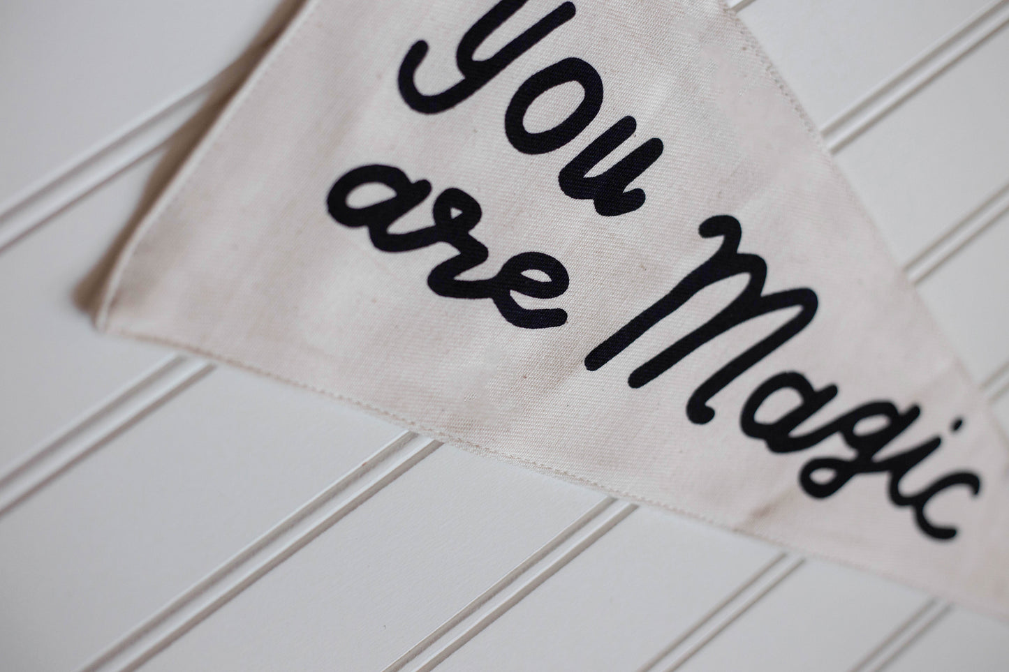 You Are Magic Canvas Pennant