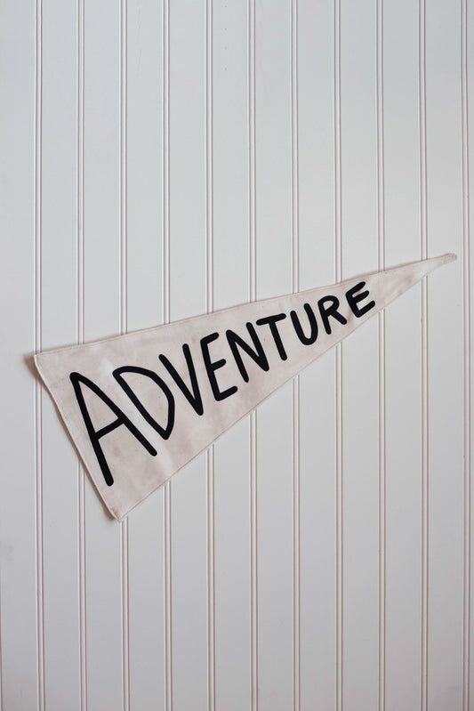 Adventure Pennant