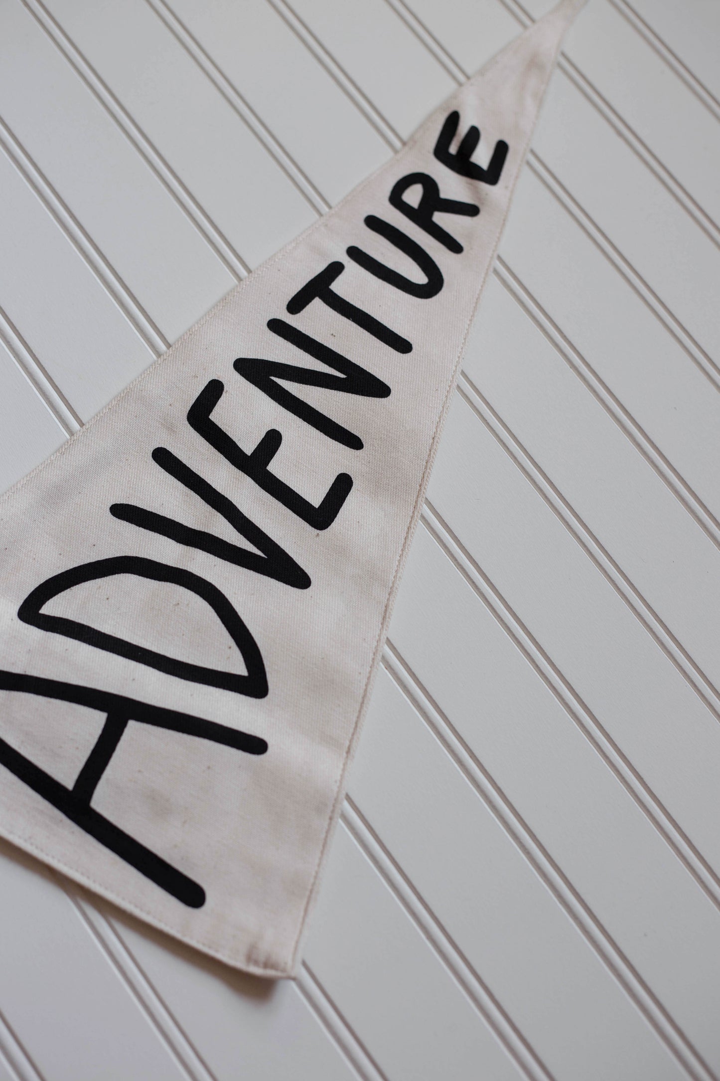 Adventure Pennant