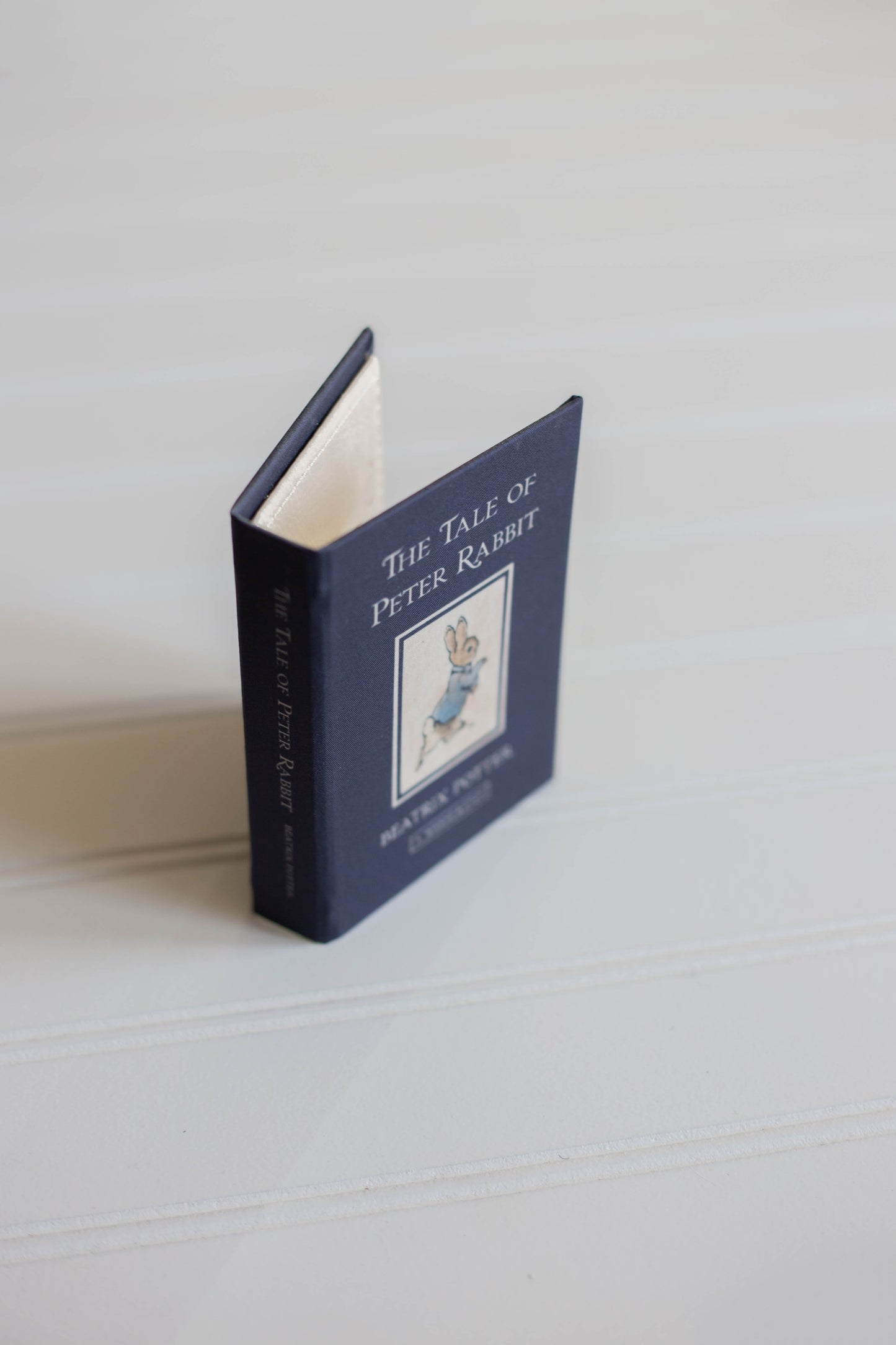 The Tale Of Peter Rabbit Miniature Book Wallet